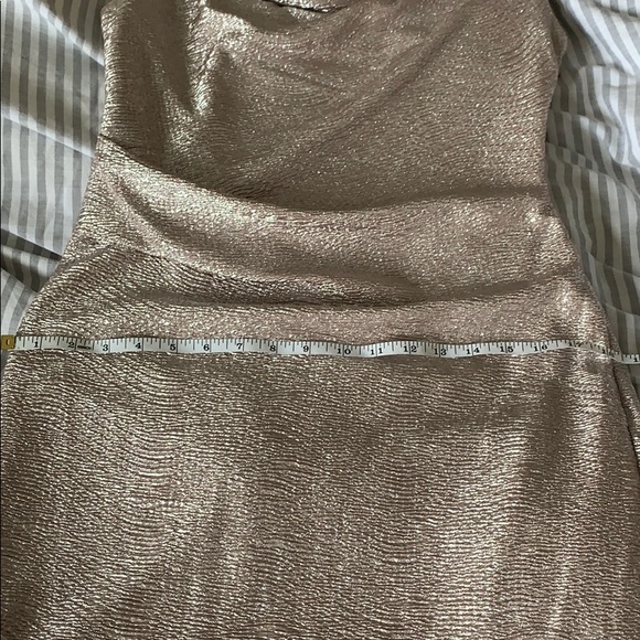 Scarlett Champagne Dress Size 8 - Picture 6 of 7